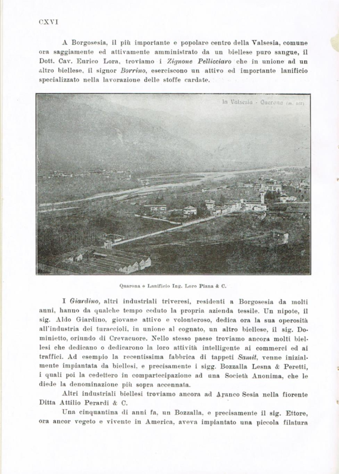 Il Biellese ed il suo sviluppo industriale: Trivero, Valli del Ponzone, del Sessera con zona limitrofa