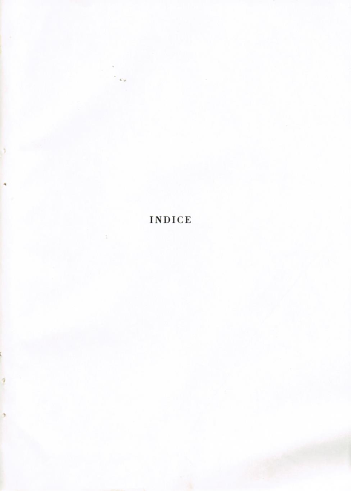 Il Biellese ed il suo sviluppo industriale: Trivero, Valli del Ponzone, del Sessera con zona limitrofa