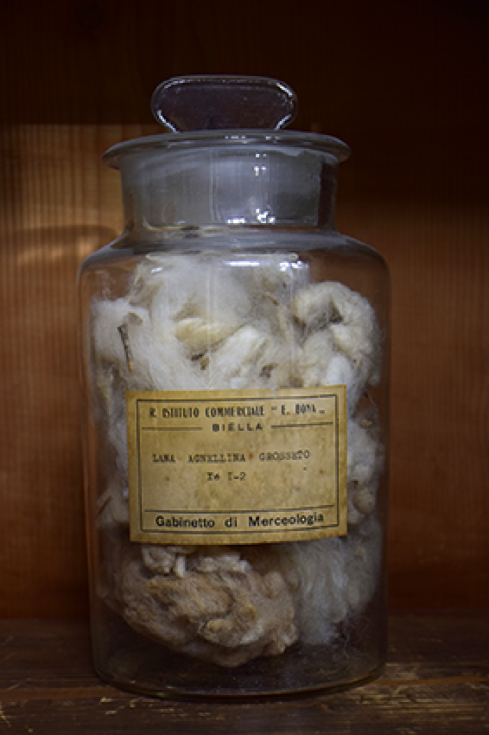 Campione di "Lana agnellina Grosseto Xé I-2"