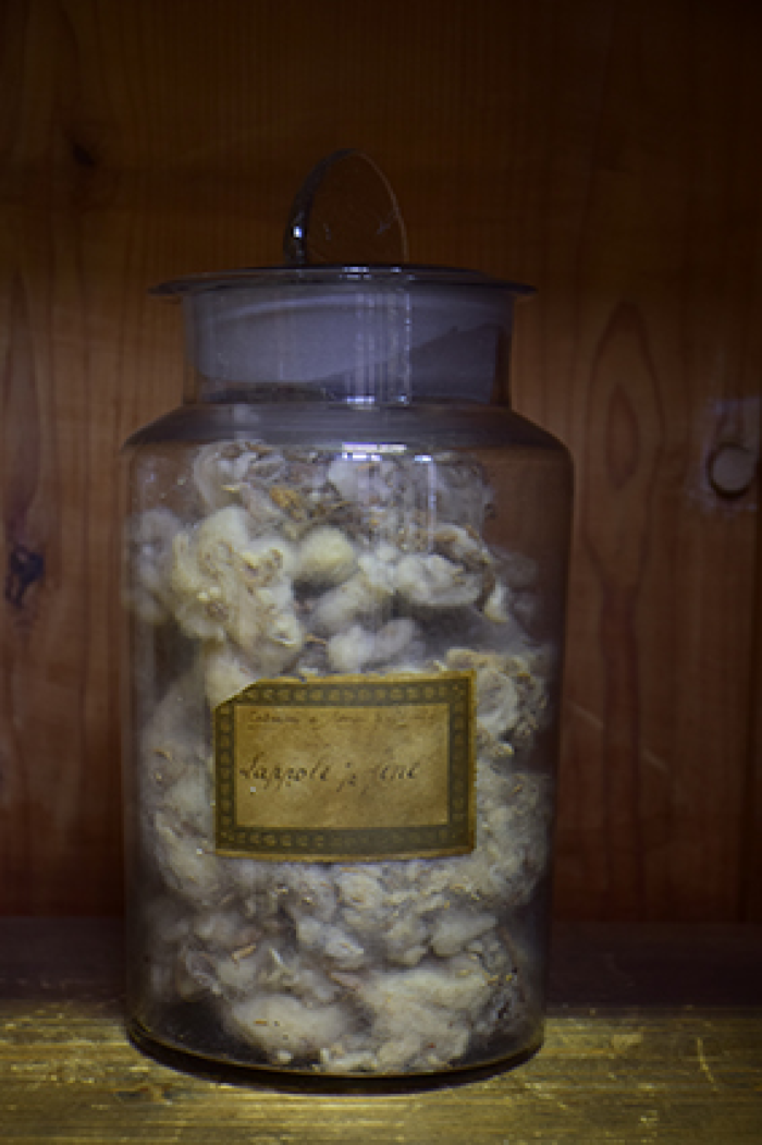 Campione di "Cascame di lana pettinata [...] Lappole 1/2 fine"