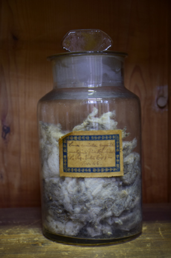 Campione di "Lana sucida argentina meticcia Rambouillet (La Paz - Entre Rios) Resa 43"