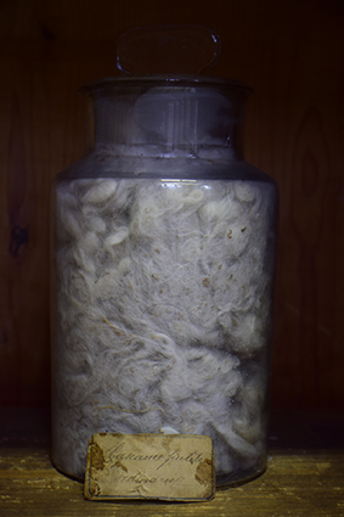 Campione di "Cascame pulito ordinario"