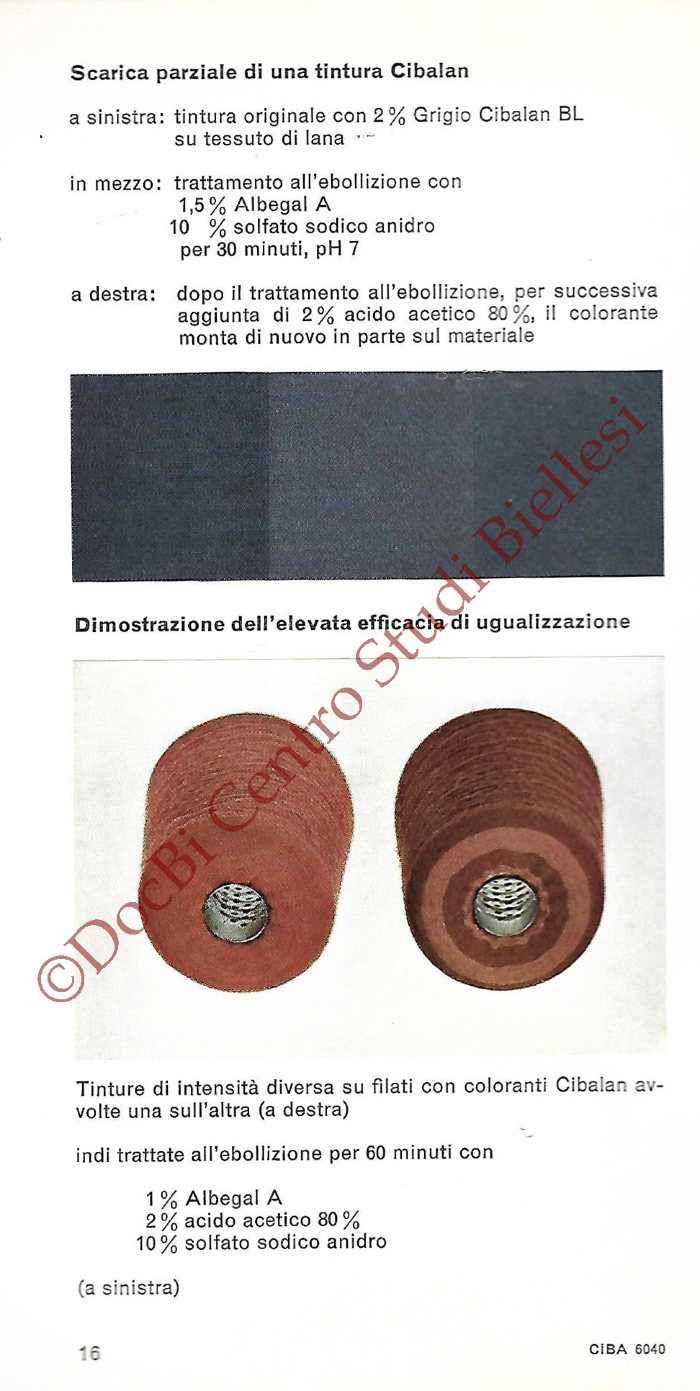 Albegal A albegal B albegal C