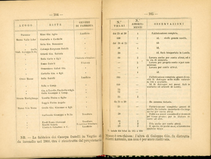 Guida storico-artistico-industriale di Biella e Circondario 1870