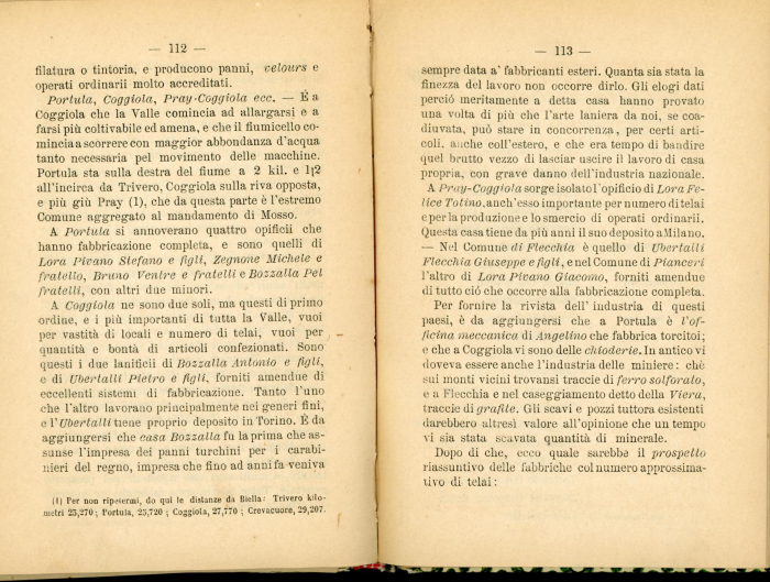 Guida storico-artistico-industriale di Biella e Circondario 1870