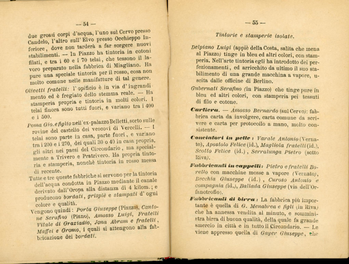 Guida storico-artistico-industriale di Biella e Circondario 1870