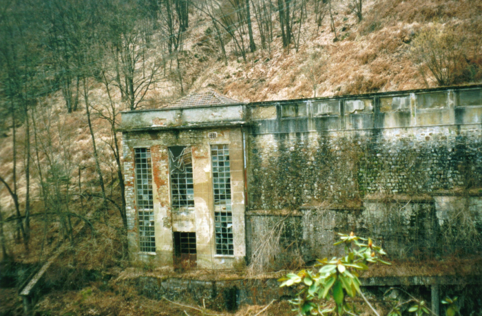 Fotografia a colori (immagine di particolare), febbraio 2001