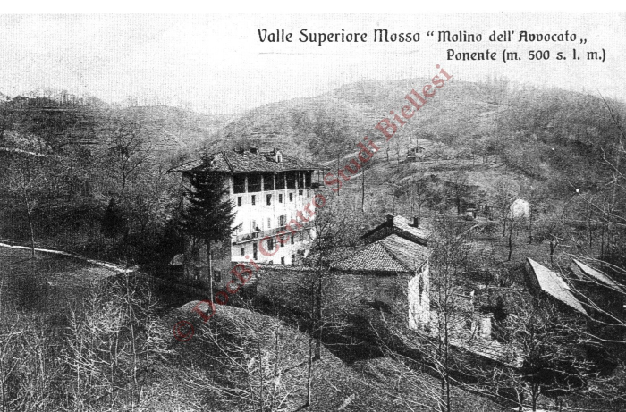 contiene riferimenti a