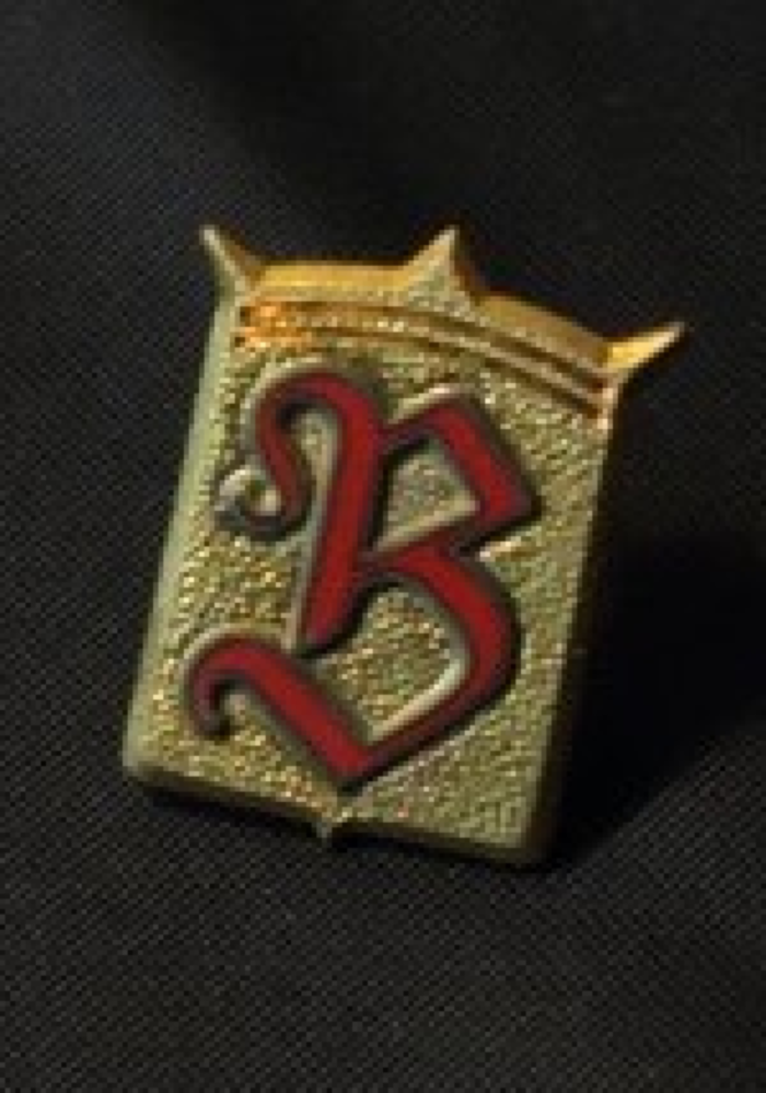 attinente all'argomento/tema