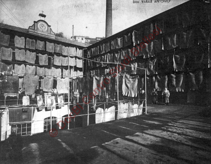 Fotografia in bianco e nero (immagine di particolare), 1910