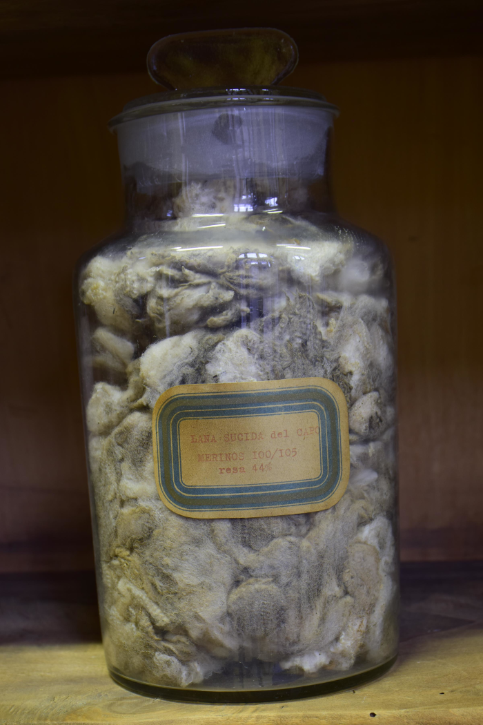 Campione di "Lana sucida del Capo merinos 100/105 resa 44%"