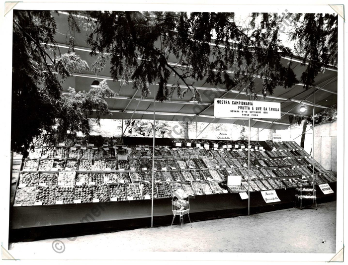Manifestazioni varie dal 1952 al 1962