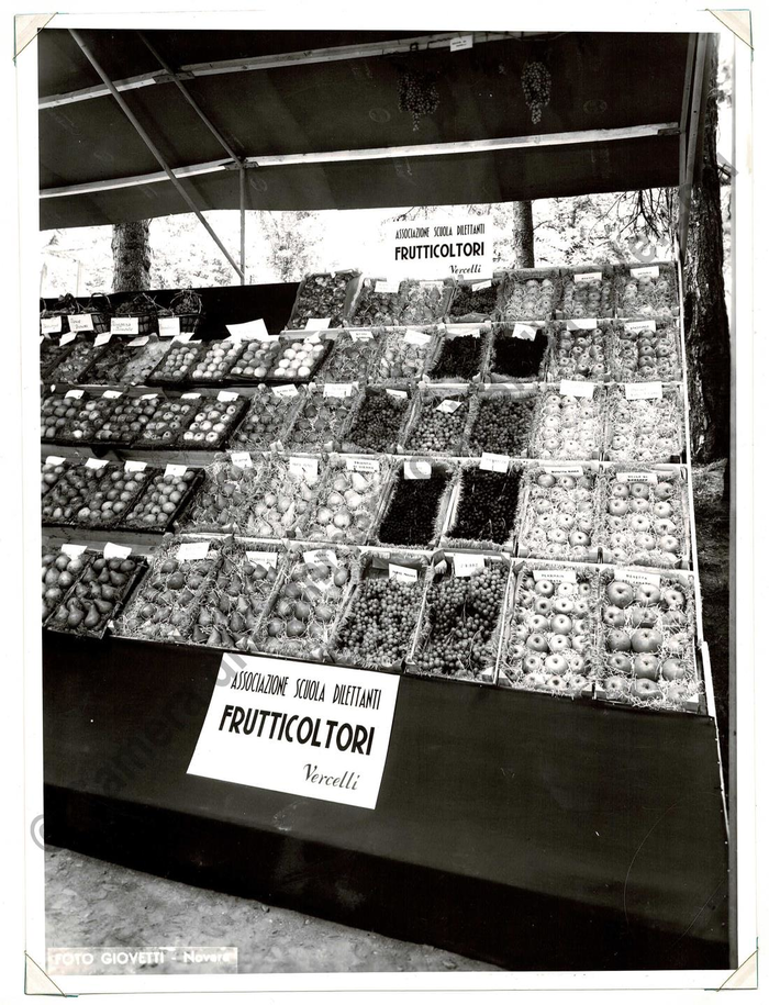 Manifestazioni varie dal 1952 al 1962