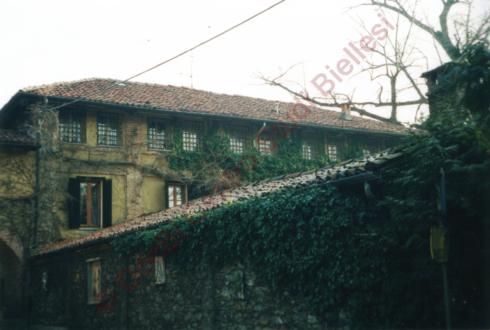 Fotografia a colori (immagine di particolare)