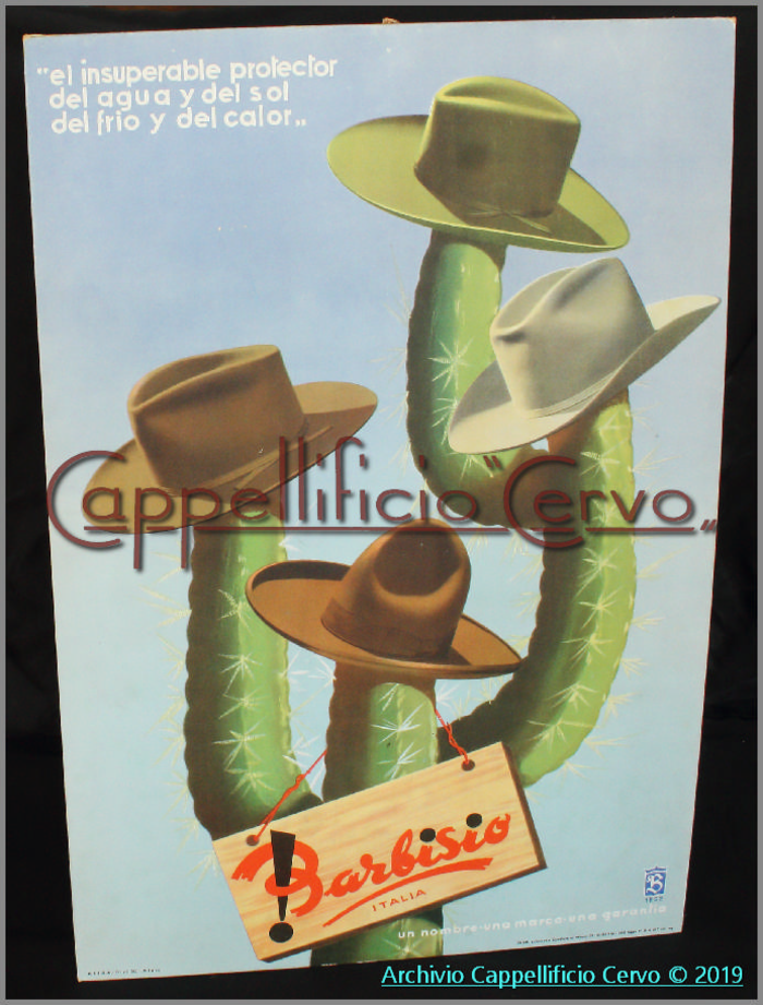 Barbisio pubblicità cactus