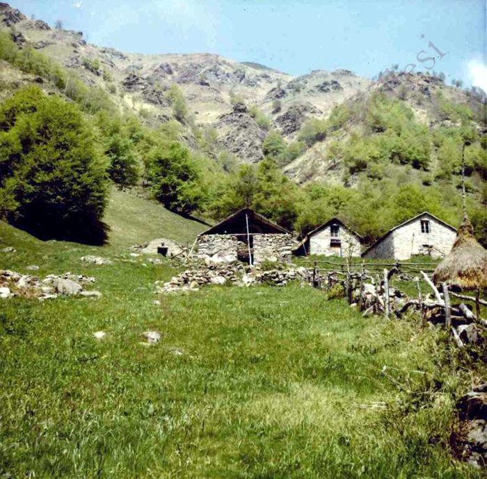 in relazione