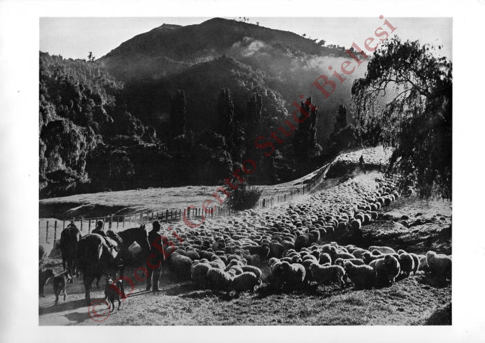 La métamorphose d'une toison. La fabrication de la laine à tricoter