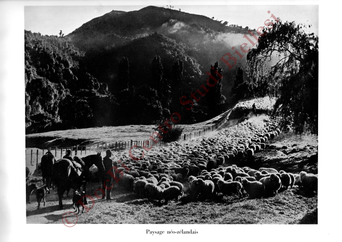 La métamorphose d'une toison. La fabrication des tissus de laine