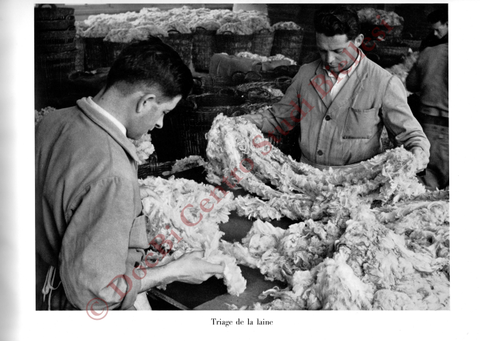 La métamorphose d'une toison. La fabrication des tissus de laine