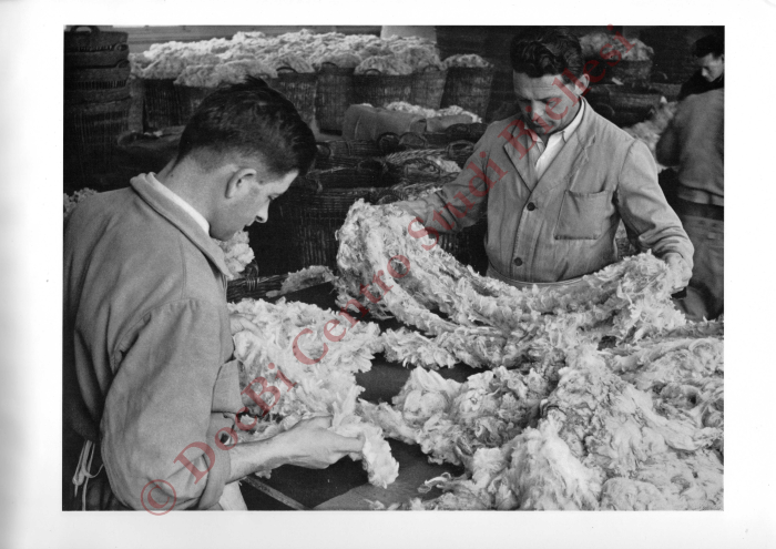 La métamorphose d'une toison. La fabrication de la laine à tricoter