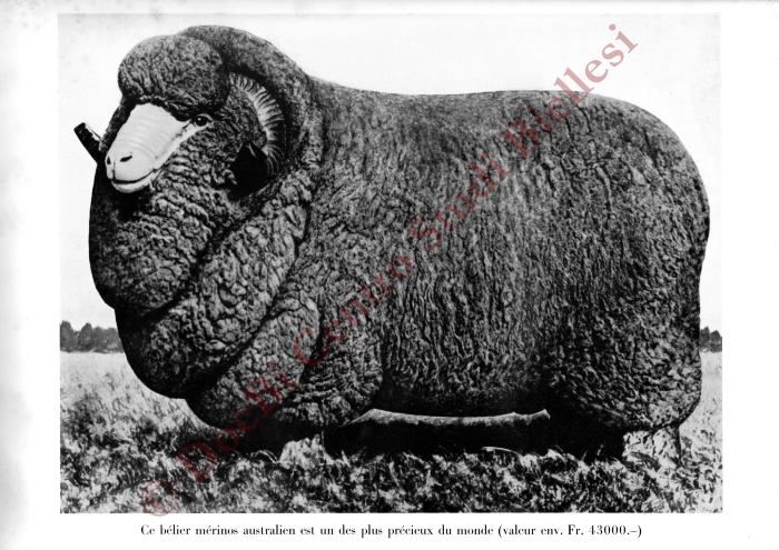 La métamorphose d'une toison. La fabrication des tissus de laine