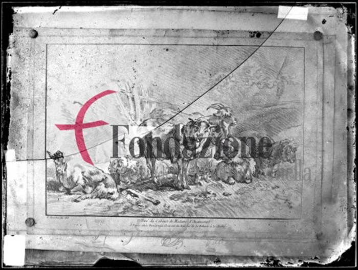 Gilles Demarteau (1722-1776), incisione raffigurante un gruppo di pecore tratta da François Boucher (1703-1770)