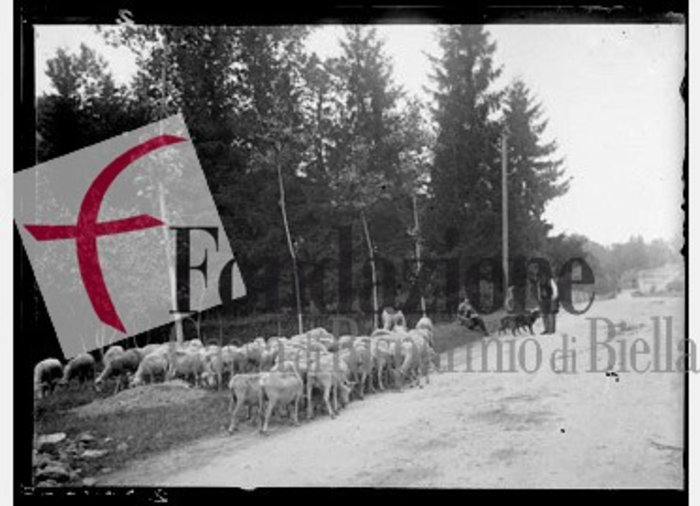 Pastori con gregge di pecore