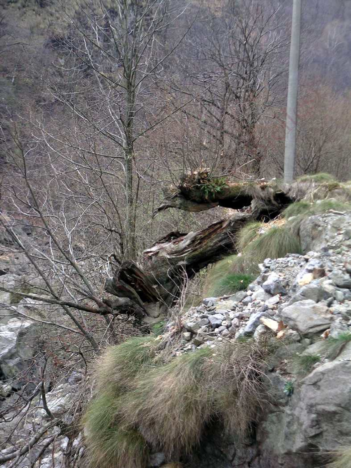 in relazione