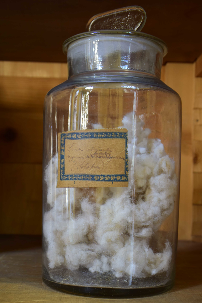 Campione di "Lana calcinata vissana lavata (Solofra)"