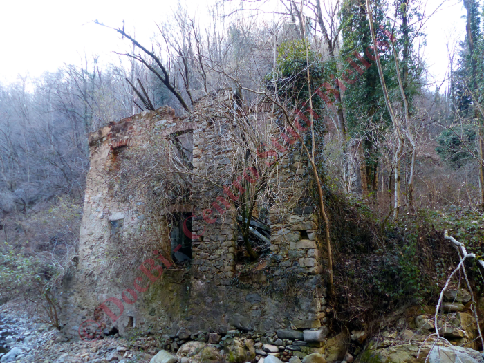 contiene riferimenti a