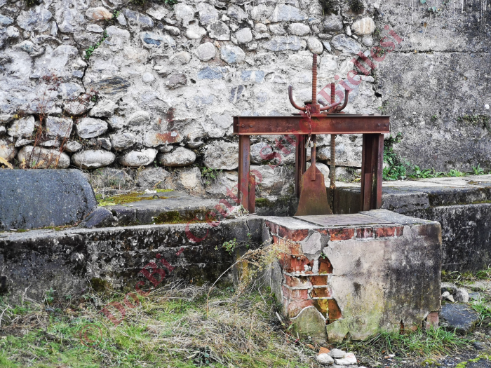 Zaverio Bracco e figli
(foto Danilo Craveia, dicembre 2021)
