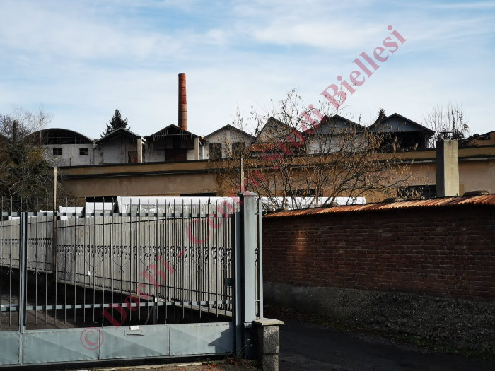 Zaverio Bracco e figli
(foto Danilo Craveia, dicembre 2021)