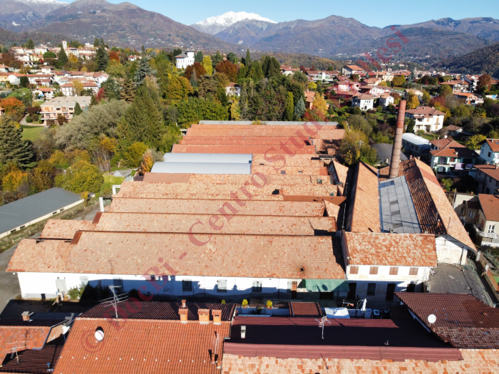Zaverio Bracco e figli
(foto Andrea Perino, novembre 2021)