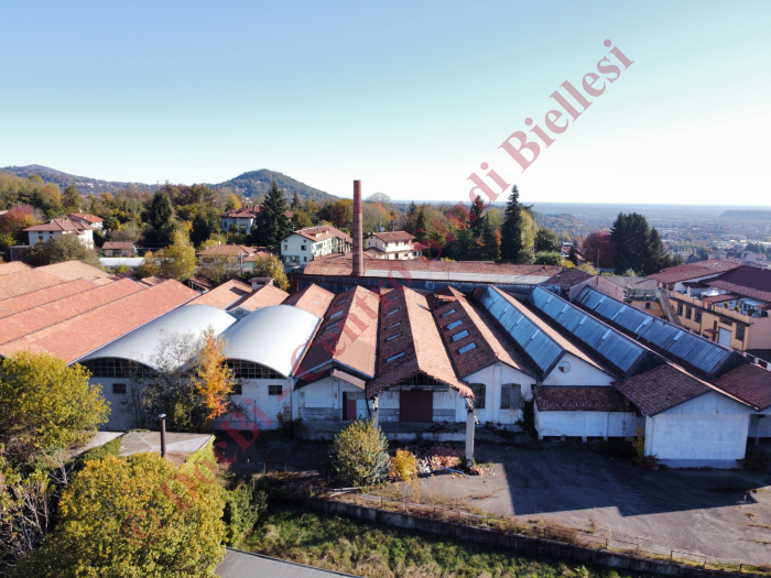 Zaverio Bracco e figli
(foto Andrea Perino, novembre 2021)