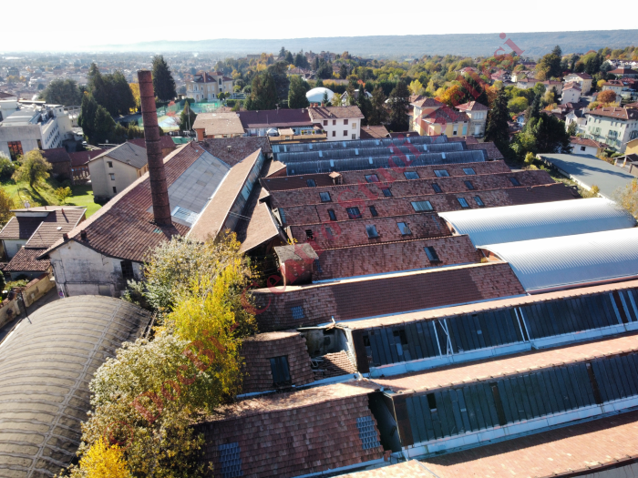 Zaverio Bracco e figli
(foto Andrea Perino, novembre 2021)