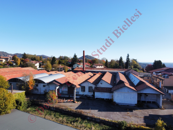 Zaverio Bracco e figli
(foto Andrea Perino, novembre 2021)