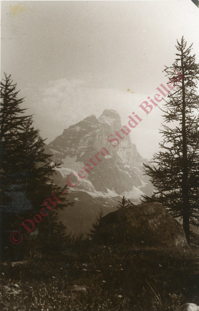Panorama alpino con alberi e Monte Cervino