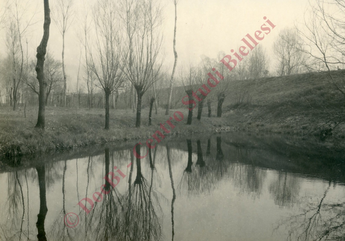 Laghetto con alberi spogli che si rispecchiano