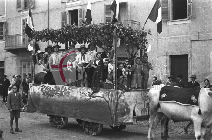 Chiavazza, 8 ottobre 1933. Festa dell’Uva. Il bucolico carro degli agricoltori, tirato da diverse coppie di buoi, sfila lungo via Milano. La decorazione dipinta richiama il “Cucu”, la tradizionale maschera del Carnevale chiavazzese (Archivio Cesare Valerio - Proprietà Fondazione Cassa di Risparmio di Biella)