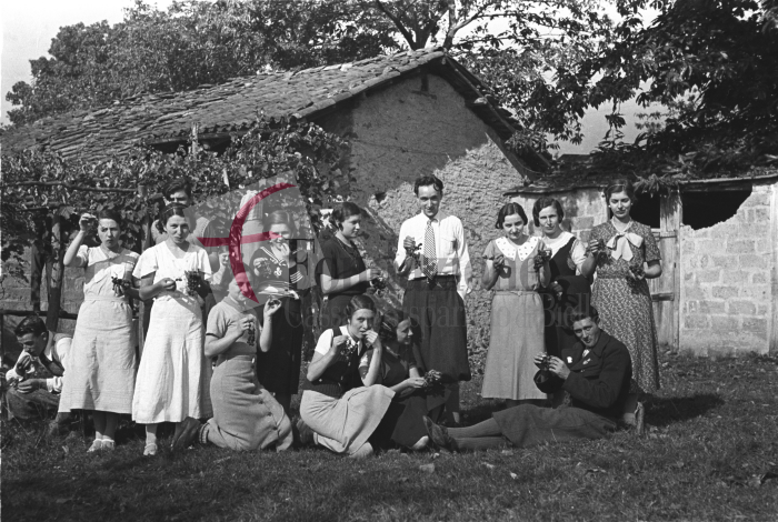 Masserano, anni ’30. Giovani biellesi in posa gustano grappoli d’uva appena raccolti (Archivio Cesare Valerio - Proprietà Fondazione Cassa di Risparmio di Biella)